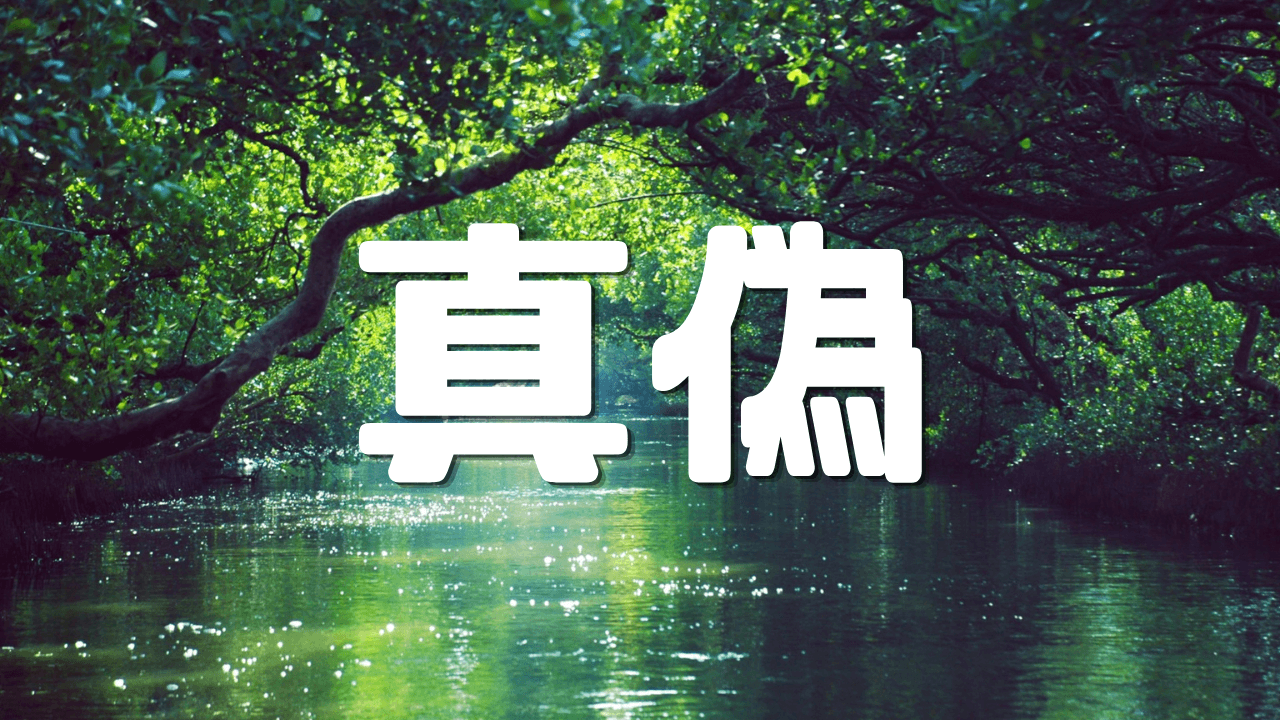 「真偽」 ｜ANA経済圏加入の真偽｜生活インフラの統合がもたらす利便性と自律性｜遊歩逍遥 旅とマイルの理