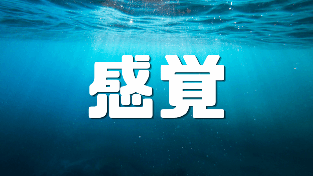 「感覚」 ｜分刻みの観光は本当に合理的か？｜面展開で深める濃密な京都滞在論｜遊歩逍遥 旅とマイルの理