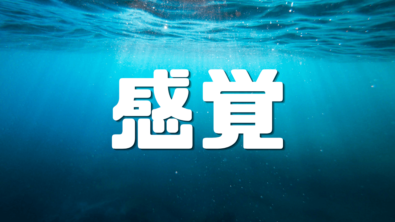「感覚」 ｜分刻みの観光は本当に合理的か？｜面展開で深める濃密な京都滞在論｜遊歩逍遥 旅とマイルの理